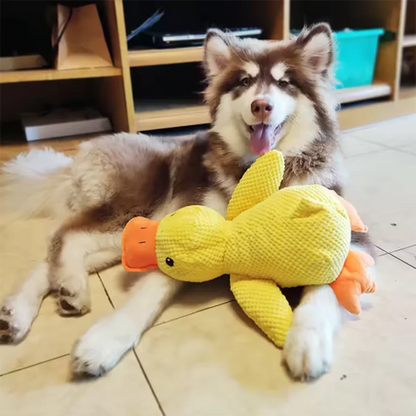 Dog sleeping with a dog hug duck toys