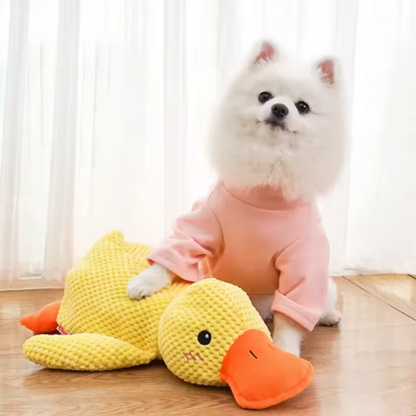 Dog sleeping with a dog hug duck toys
