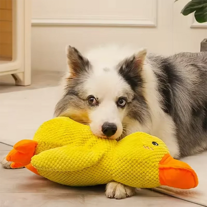Dog sleeping with a dog hug duck toys