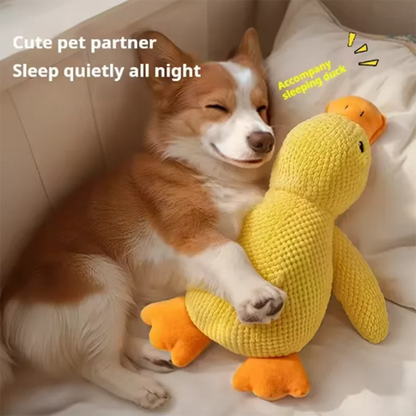 Dog sleeping with a dog hug duck toys