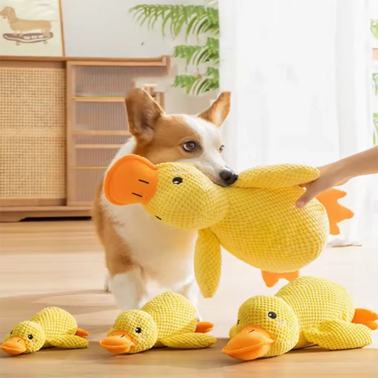Dog sleeping with a dog hug duck toys