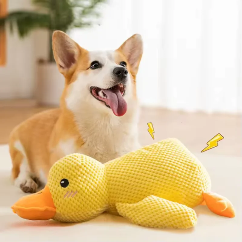 Dog sleeping with a dog hug duck toys