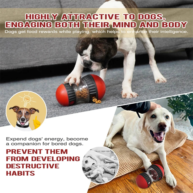 Dog Toys Increase Intelligence Elliptical